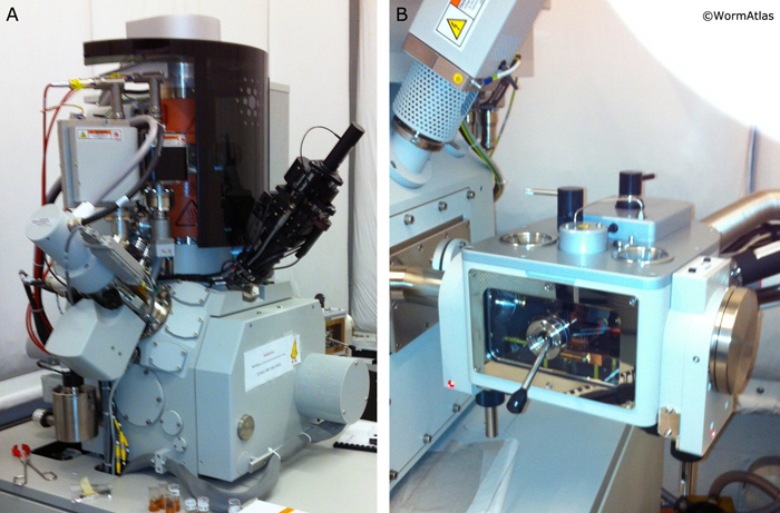 EMFIBSEMFIG 4: FEI Helios Nanolab 650.